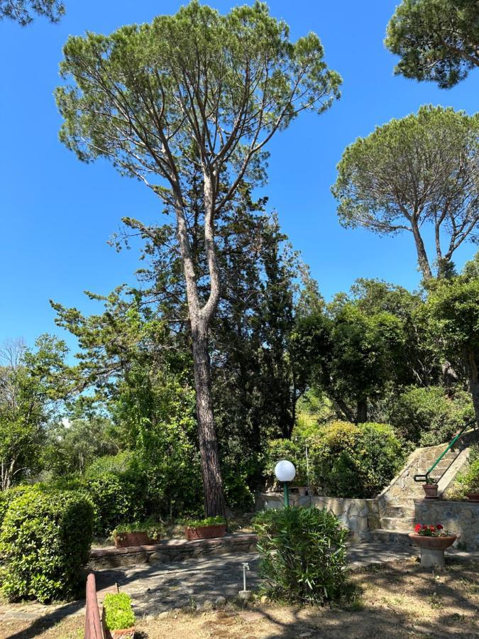 Appartamenti Portiglioni-Belvedere プントーネ・ディ・スカルリーノ エクステリア 写真